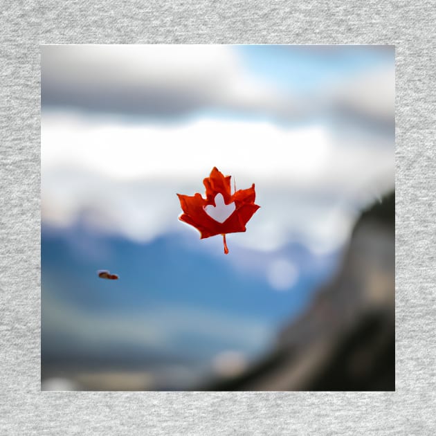 Maple Leaf Falling by FPV YOUR WORLD